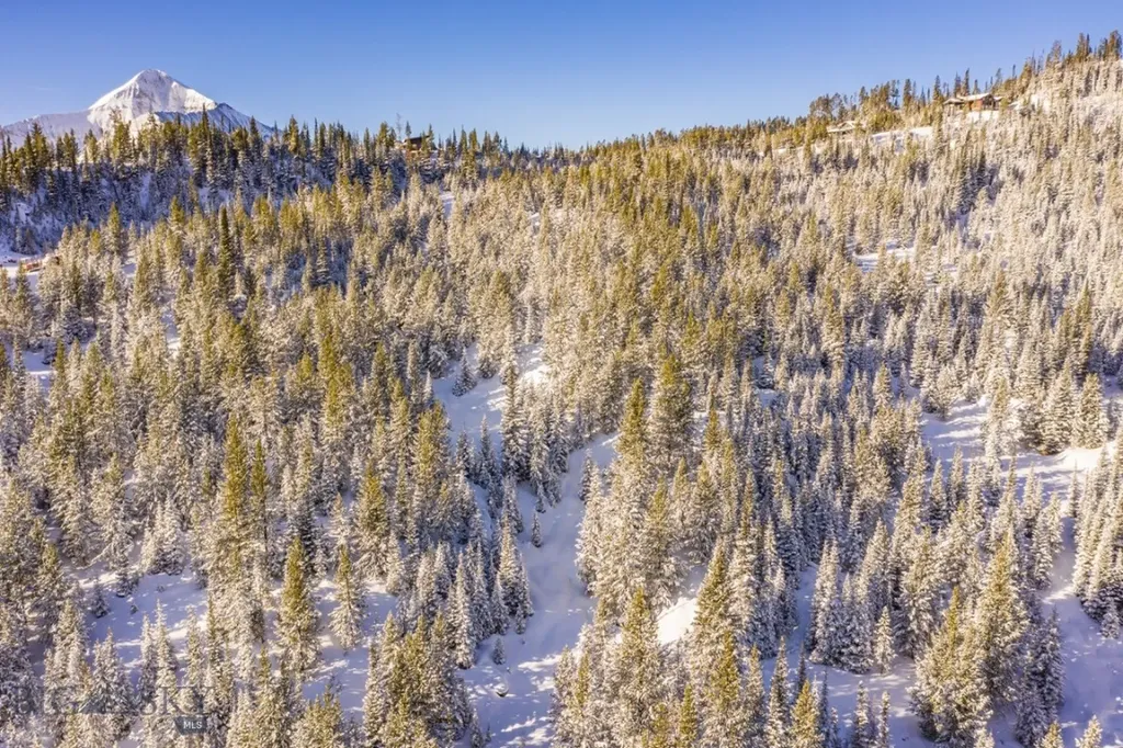 Tbd Beehive Basin Road, Lot 4 Big Sky MT 59716