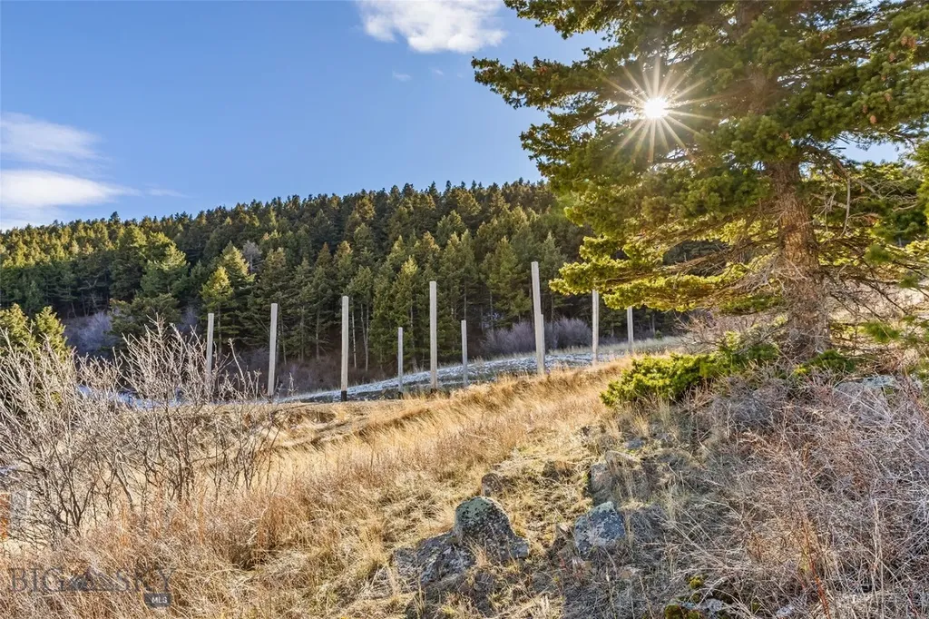 Tbd Elk Meadows Livingston MT 59047
