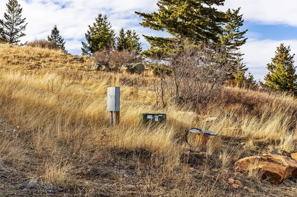 Tbd Elk Meadows Livingston MT 59047