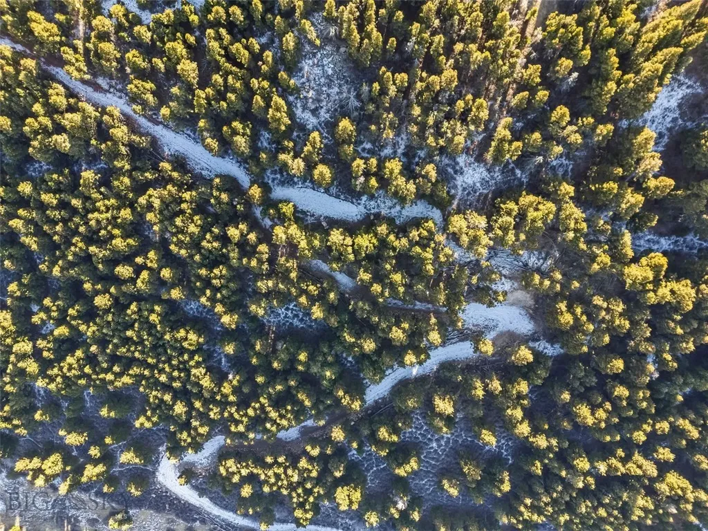 Tbd Elk Meadows Livingston MT 59047