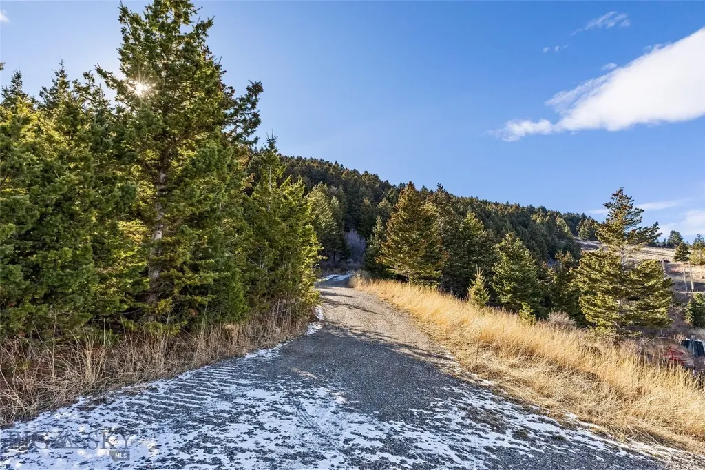 Tbd Elk Meadows Livingston MT 59047