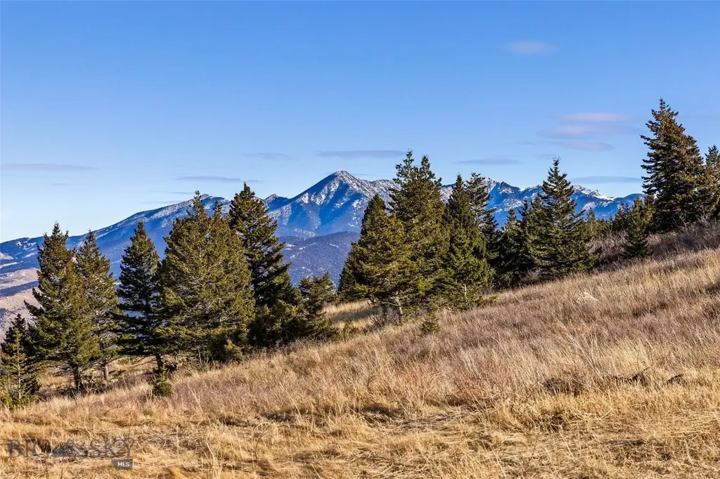 Tbd Elk Meadows Livingston MT 59047