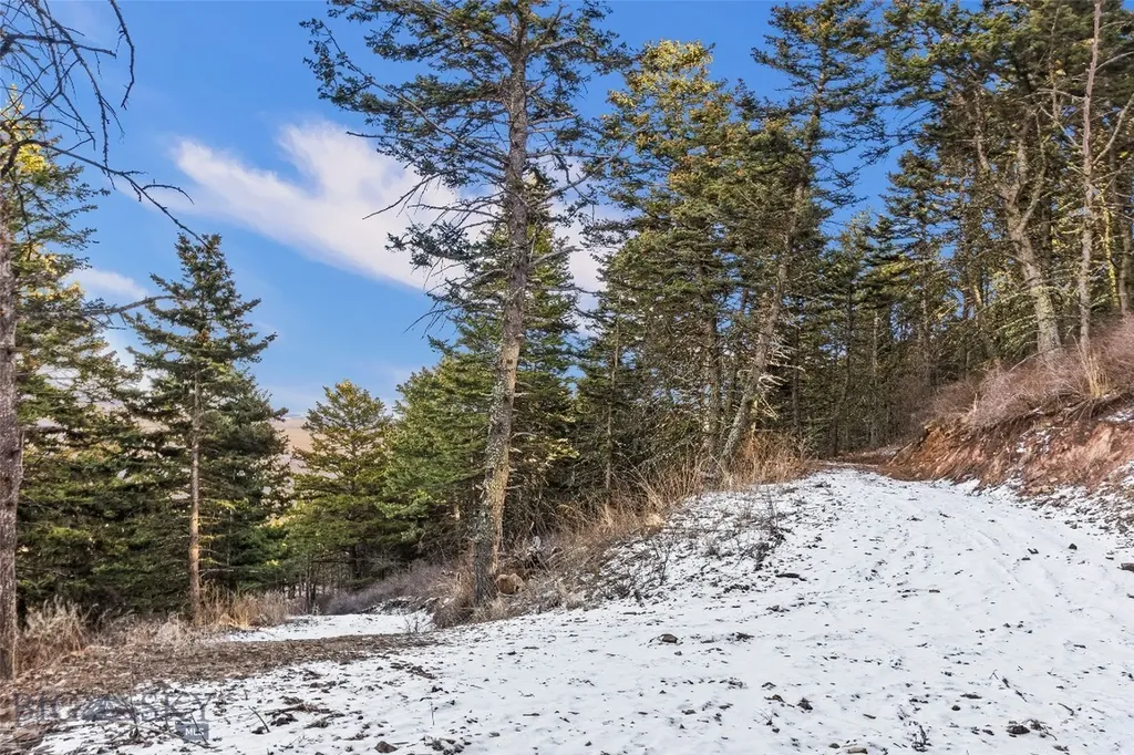 Tbd Elk Meadows Livingston MT 59047