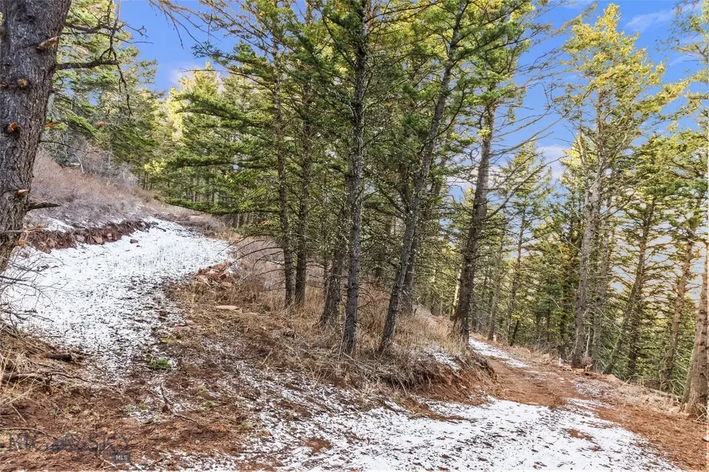 Tbd Elk Meadows Livingston MT 59047