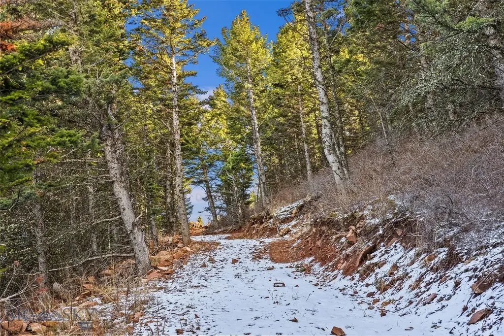 Tbd Elk Meadows Livingston MT 59047
