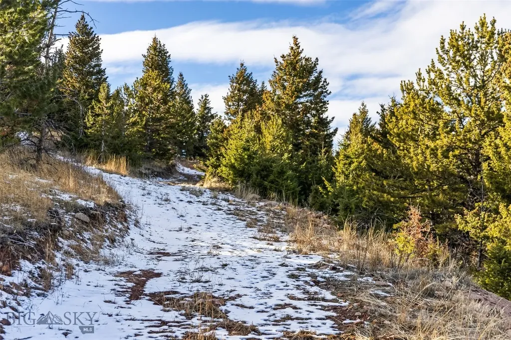 Tbd Elk Meadows Livingston MT 59047