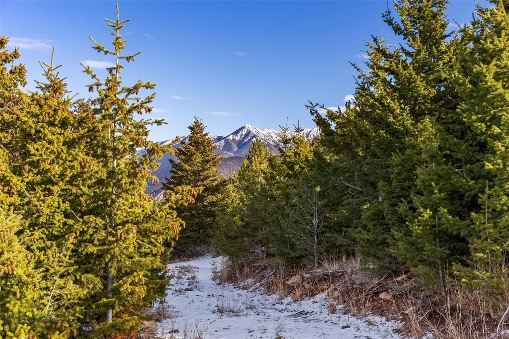 Tbd Elk Meadows Livingston MT 59047