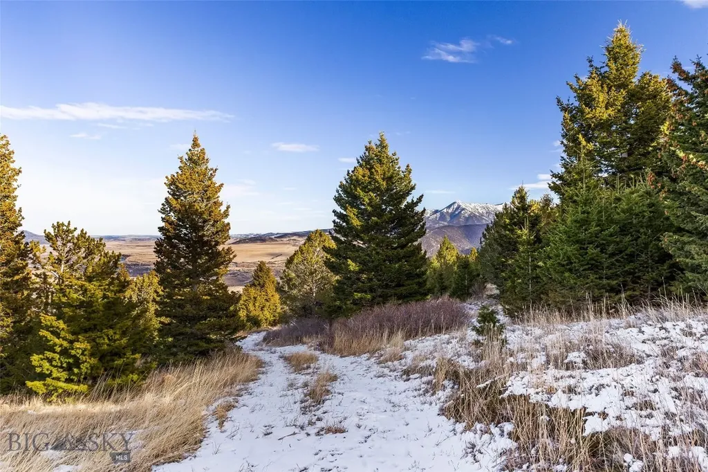 Tbd Elk Meadows Livingston MT 59047