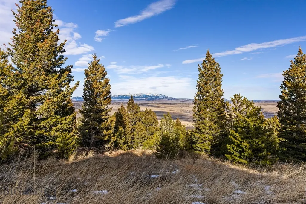 Tbd Elk Meadows Livingston MT 59047