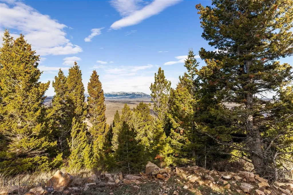 Tbd Elk Meadows Livingston MT 59047