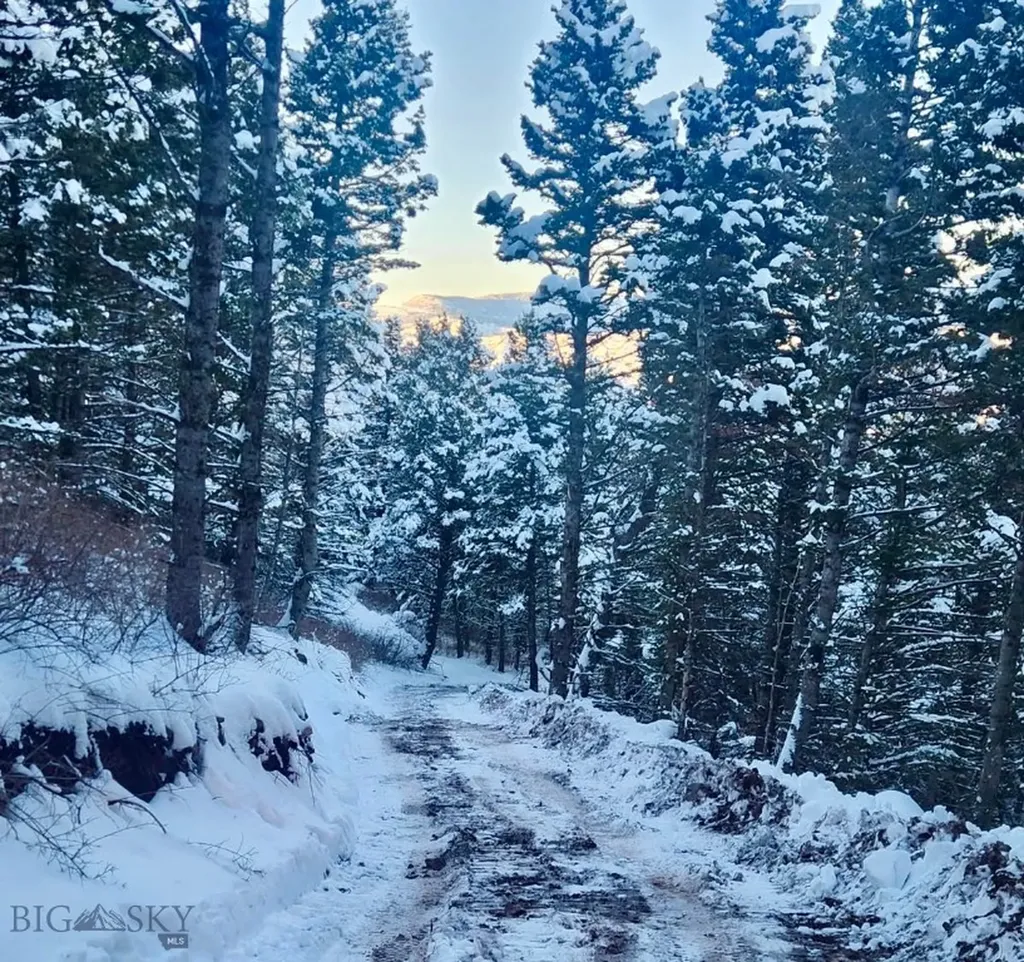 Tbd Elk Meadows Livingston MT 59047