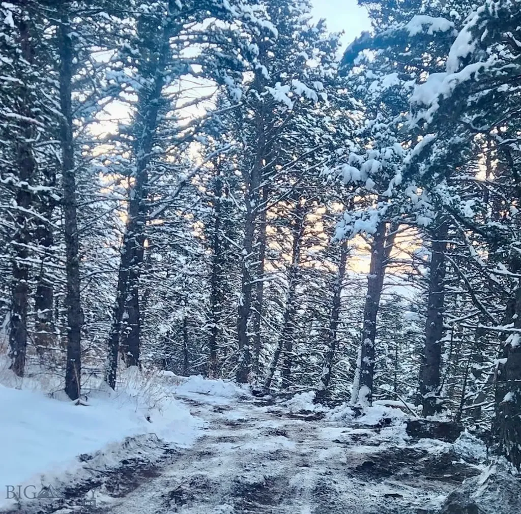 Tbd Elk Meadows Livingston MT 59047