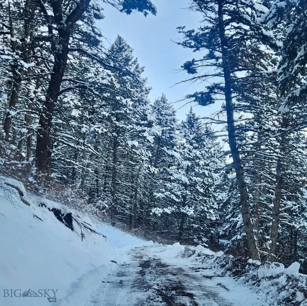 Tbd Elk Meadows Livingston MT 59047