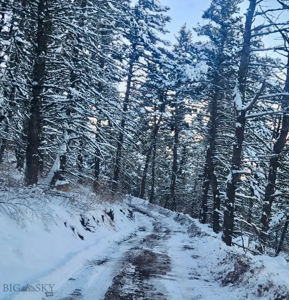Tbd Elk Meadows Livingston MT 59047