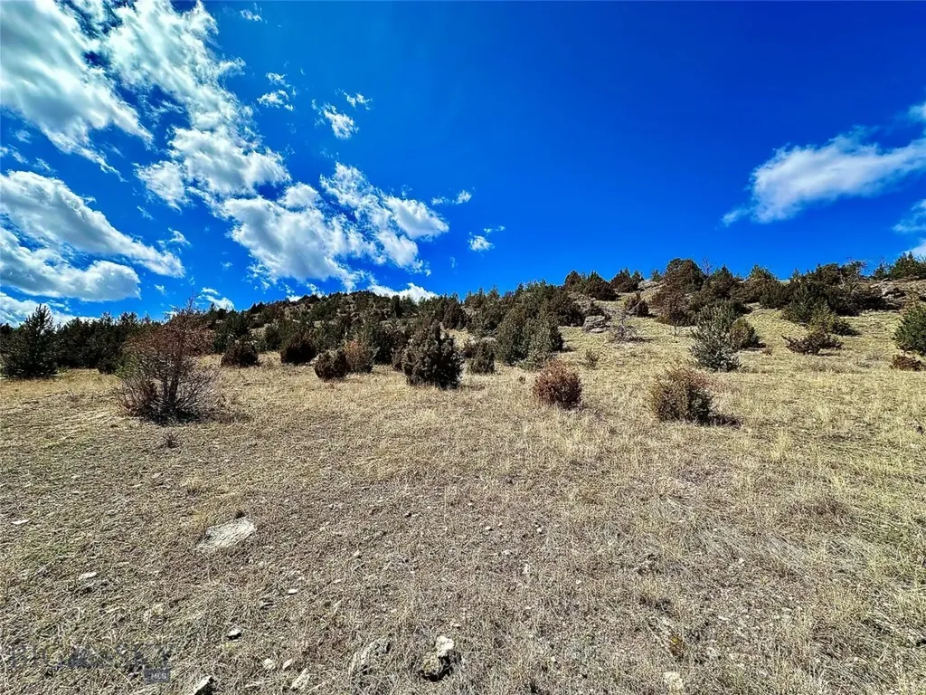 Lot 230 Shining Mountains Unit I Ennis MT 59729