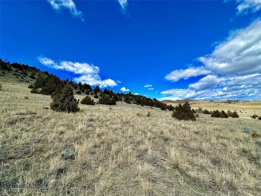 Lot 230 Shining Mountains Unit I Ennis MT 59729