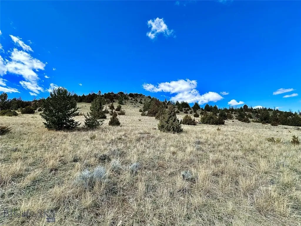 Lot 230 Shining Mountains Unit I Ennis MT 59729