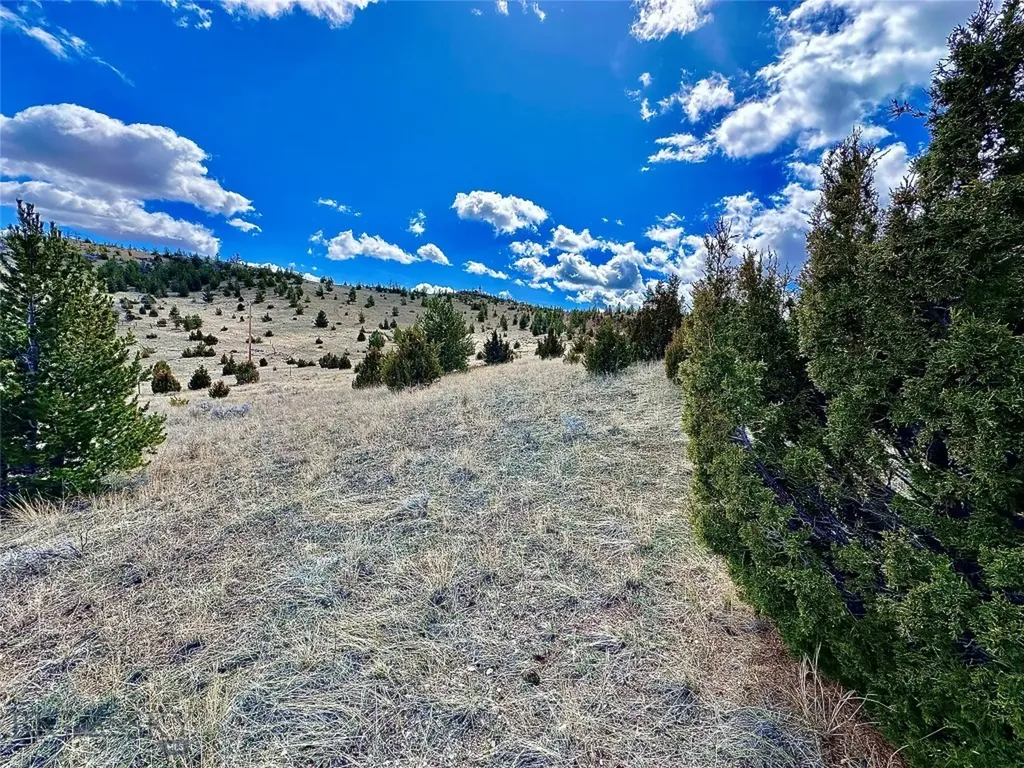 Lot 230 Shining Mountains Unit I Ennis MT 59729