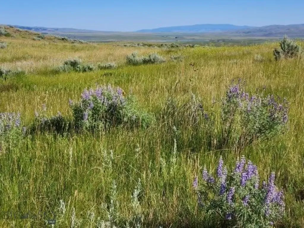 Tbd Old Flathead Creek Road-parcel A1 Wilsall MT 59086