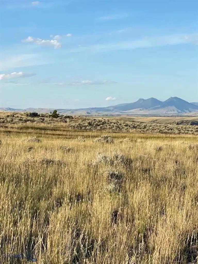 Tbd Old Flathead Creek Road-parcel A1 Wilsall MT 59086