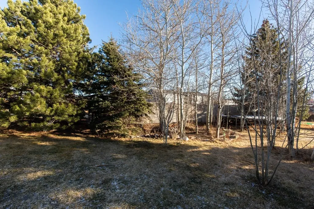 94 Willow Drive Livingston MT 59047