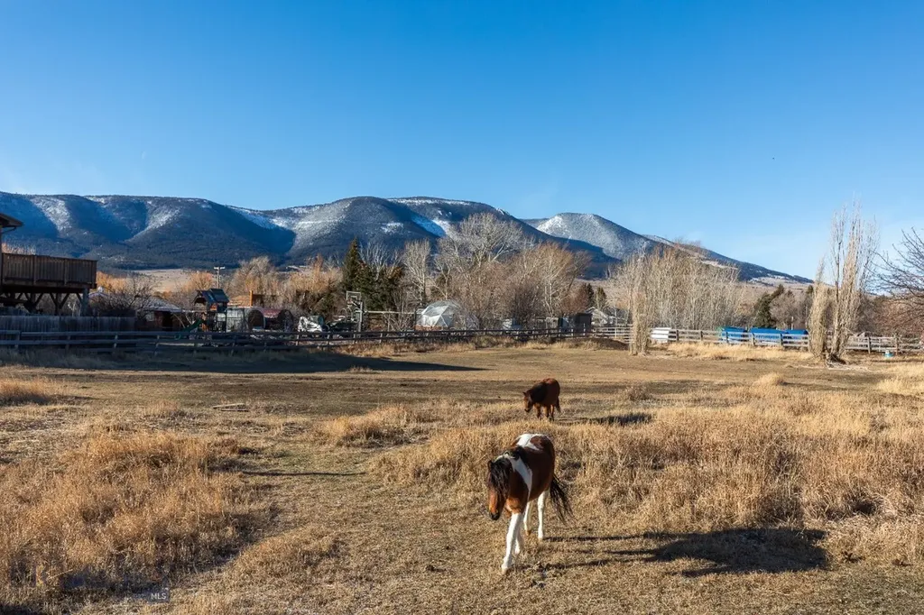 94 Willow Drive Livingston MT 59047