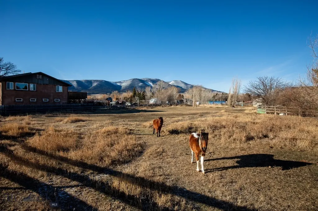 94 Willow Drive Livingston MT 59047