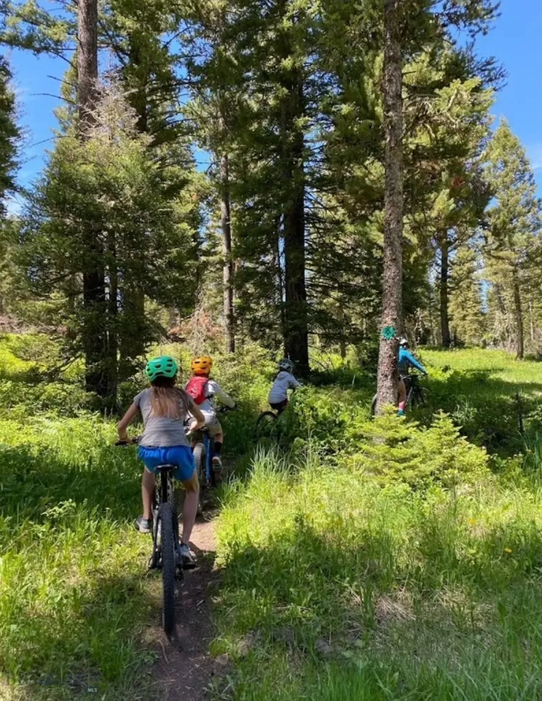 11310 Taiga Trail Bozeman MT 59715