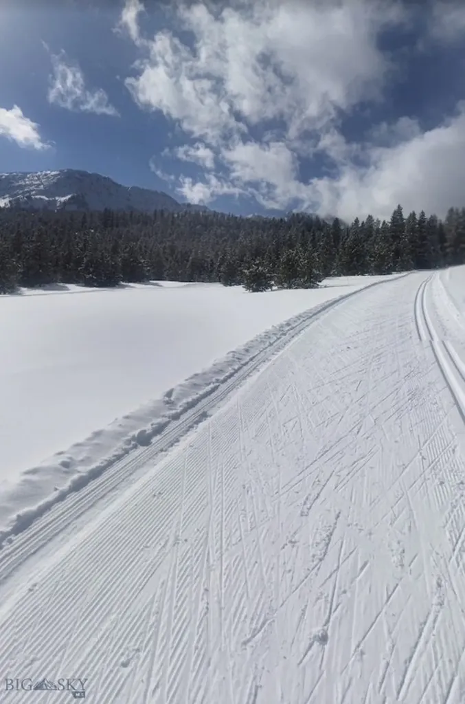 11310 Taiga Trail Bozeman MT 59715