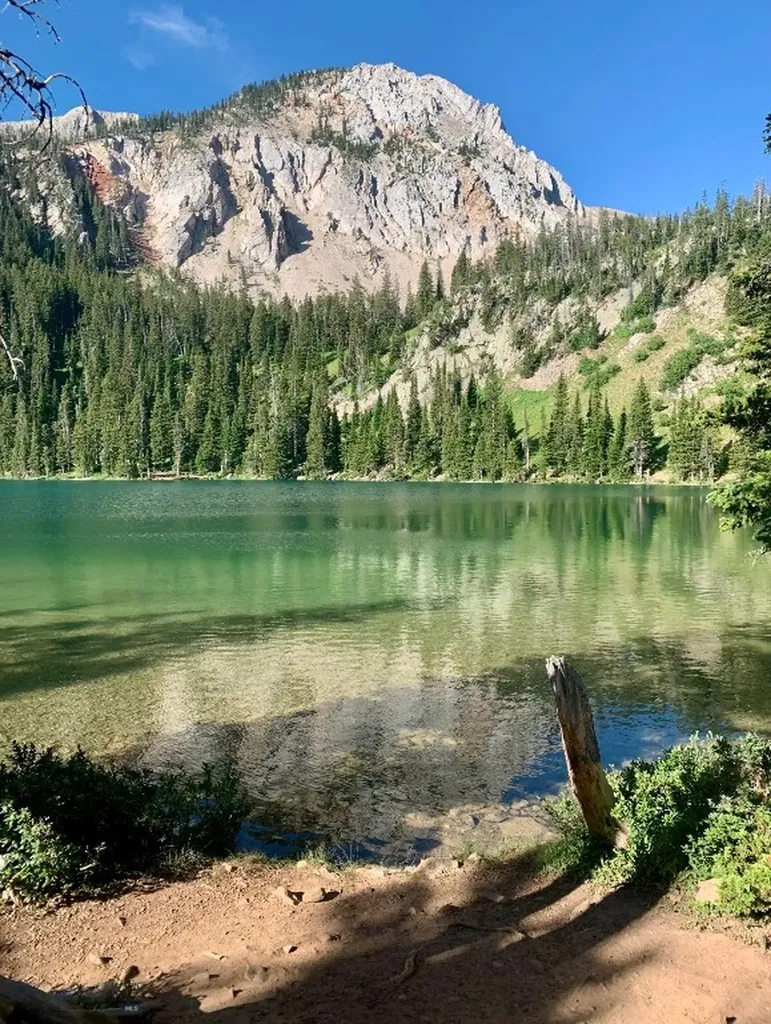 11310 Taiga Trail Bozeman MT 59715