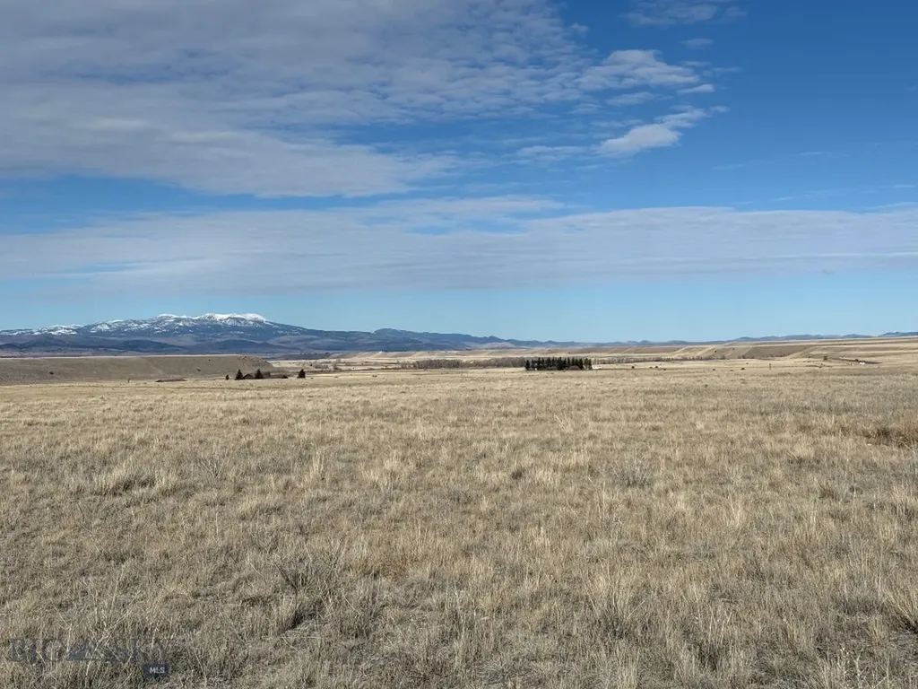 Madison River Tracts Parcel 8 Cameron MT 59720