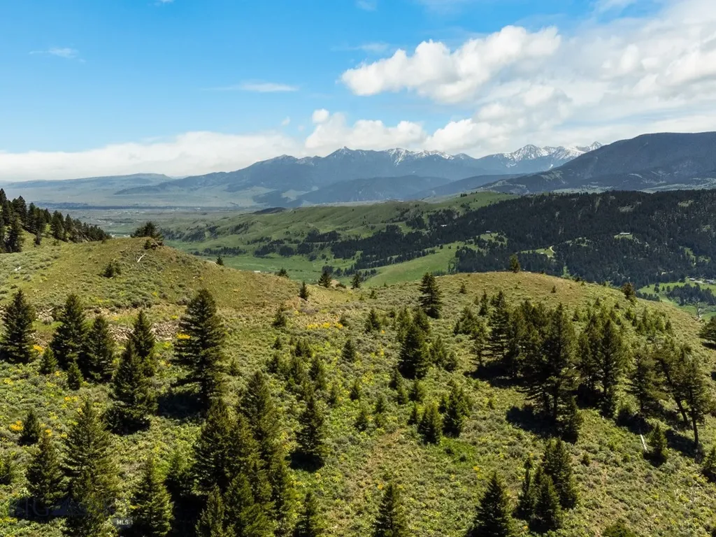 Lot 9 Sunflower Lane Livingston MT 59047