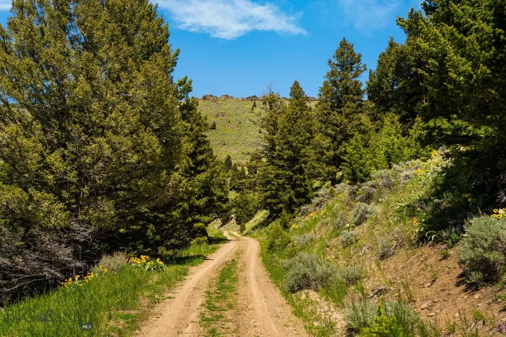 Lot 9 Sunflower Lane Livingston MT 59047