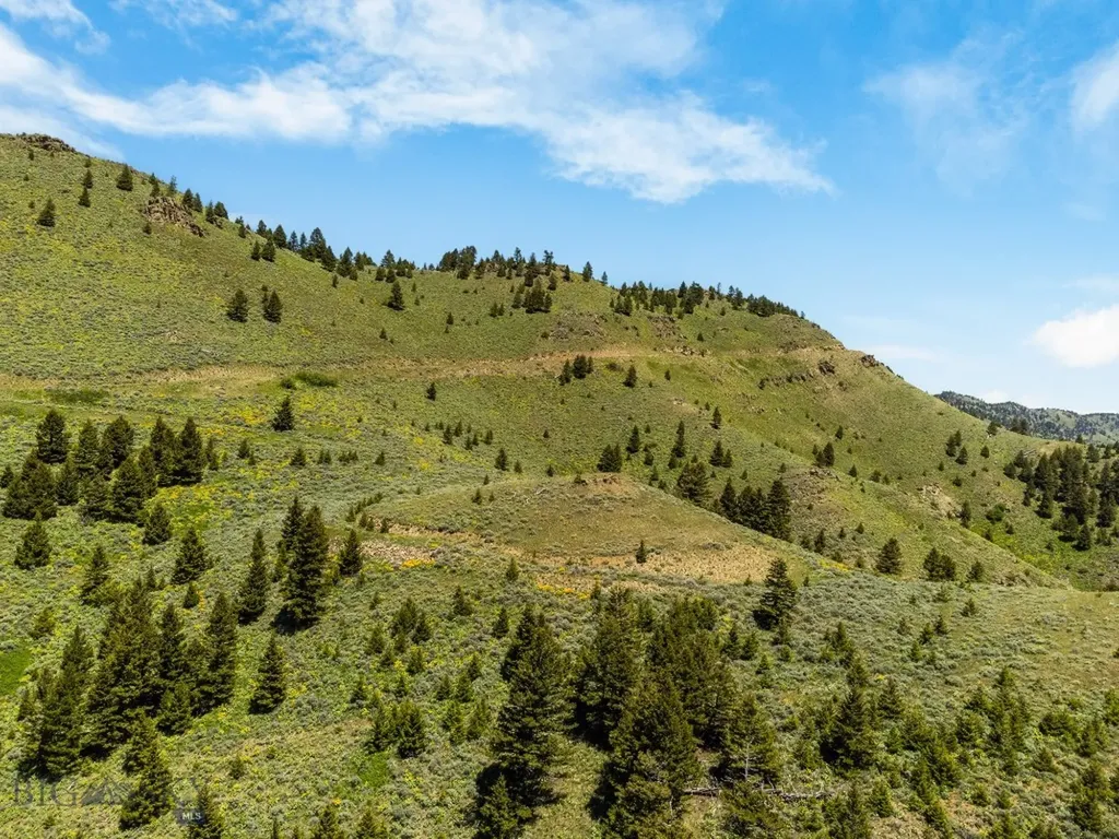 Lot 9 Sunflower Lane Livingston MT 59047