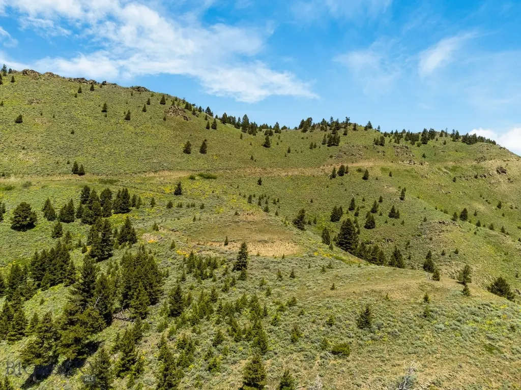 Lot 9 Sunflower Lane Livingston MT 59047