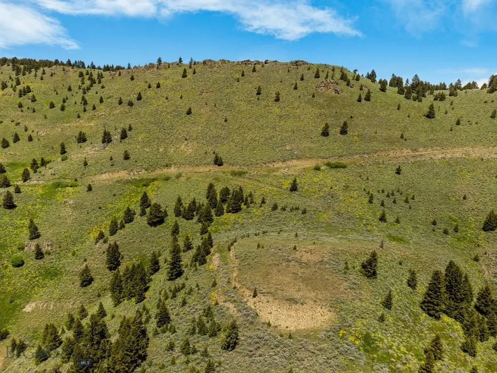 Lot 9 Sunflower Lane Livingston MT 59047