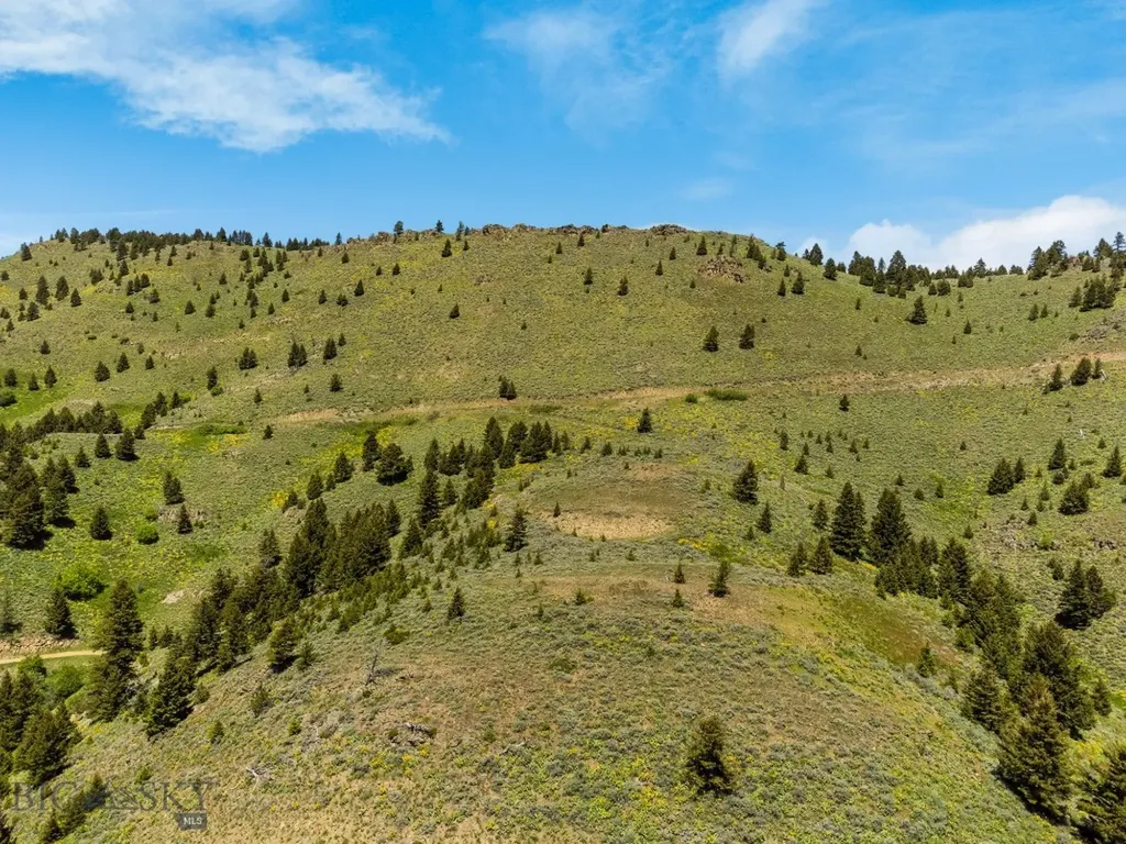 Lot 9 Sunflower Lane Livingston MT 59047