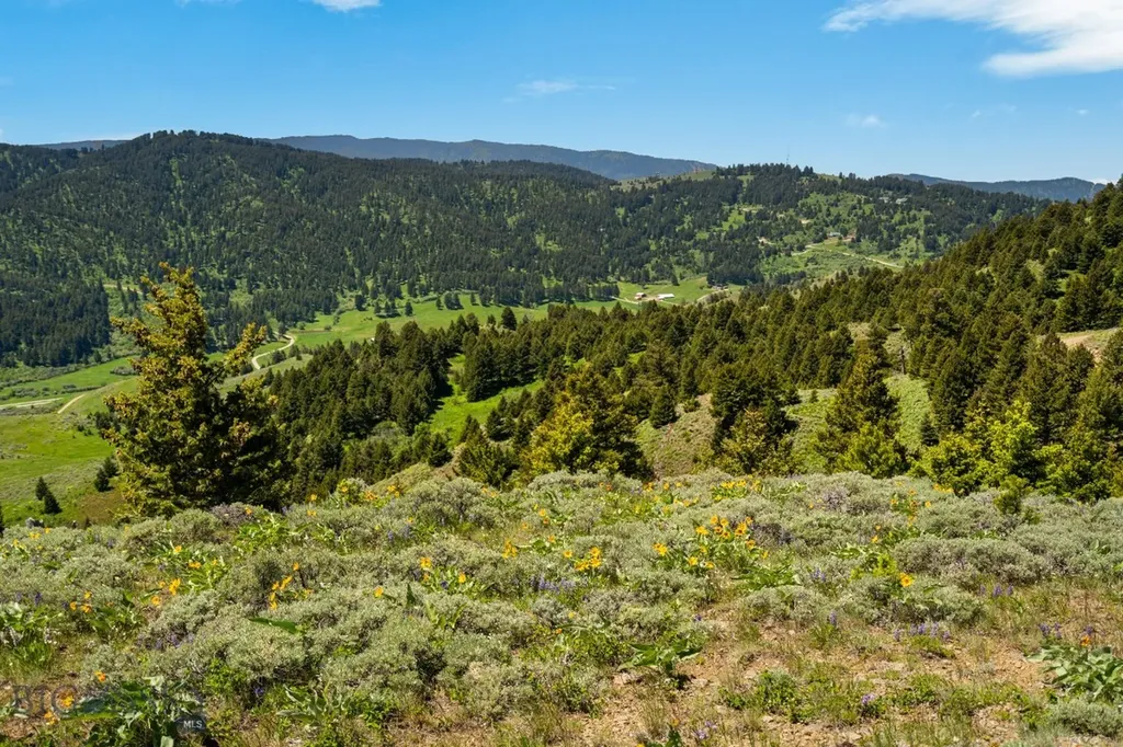 Lot 9 Sunflower Lane Livingston MT 59047