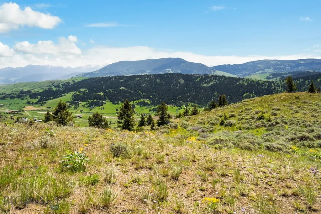 Lot 9 Sunflower Lane Livingston MT 59047