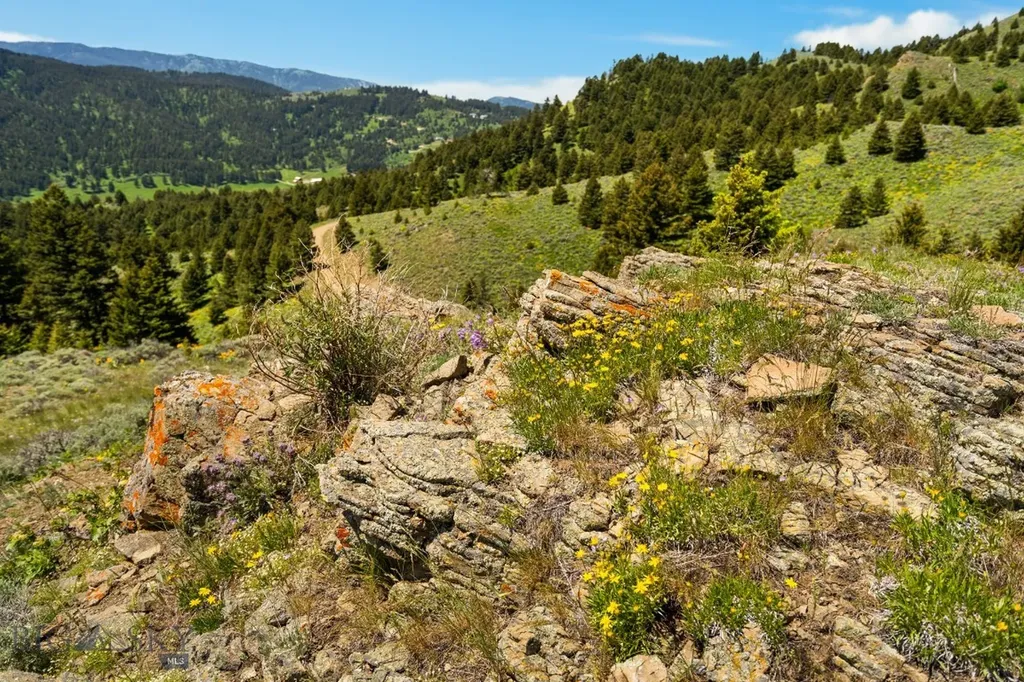 Lot 9 Sunflower Lane Livingston MT 59047