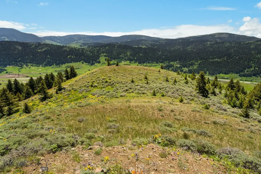 Lot 9 Sunflower Lane Livingston MT 59047