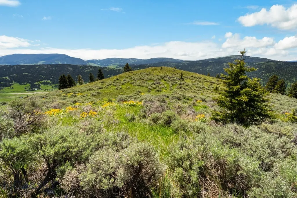 Lot 9 Sunflower Lane Livingston MT 59047