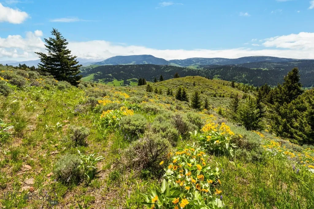 Lot 9 Sunflower Lane Livingston MT 59047