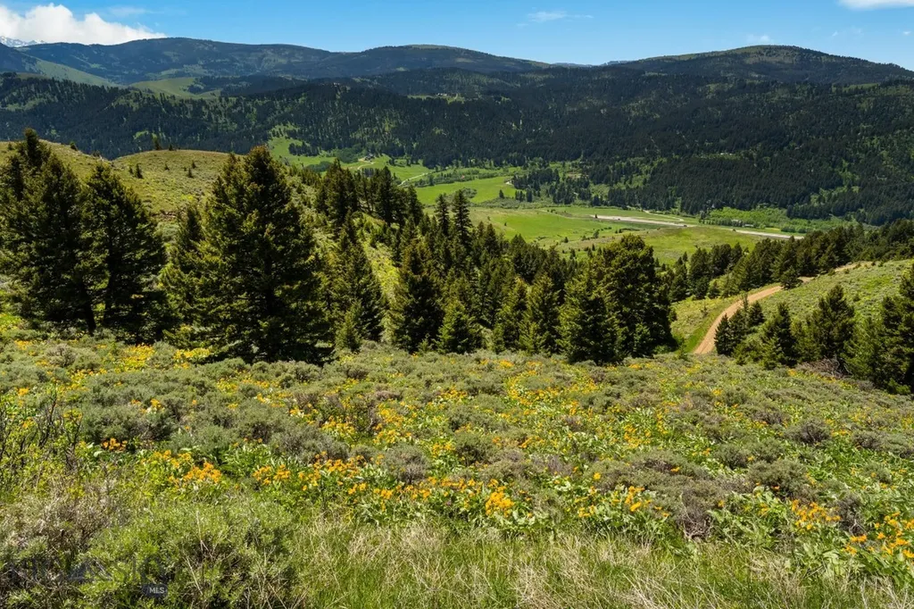 Lot 9 Sunflower Lane Livingston MT 59047