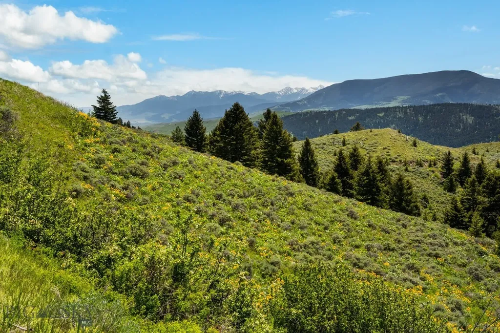 Lot 9 Sunflower Lane Livingston MT 59047