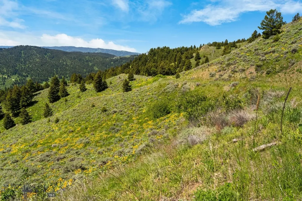 Lot 9 Sunflower Lane Livingston MT 59047