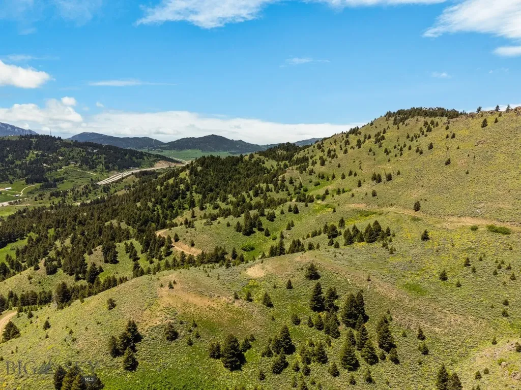 Lot 9 Sunflower Lane Livingston MT 59047