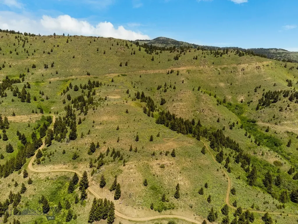 Lot 9 Sunflower Lane Livingston MT 59047