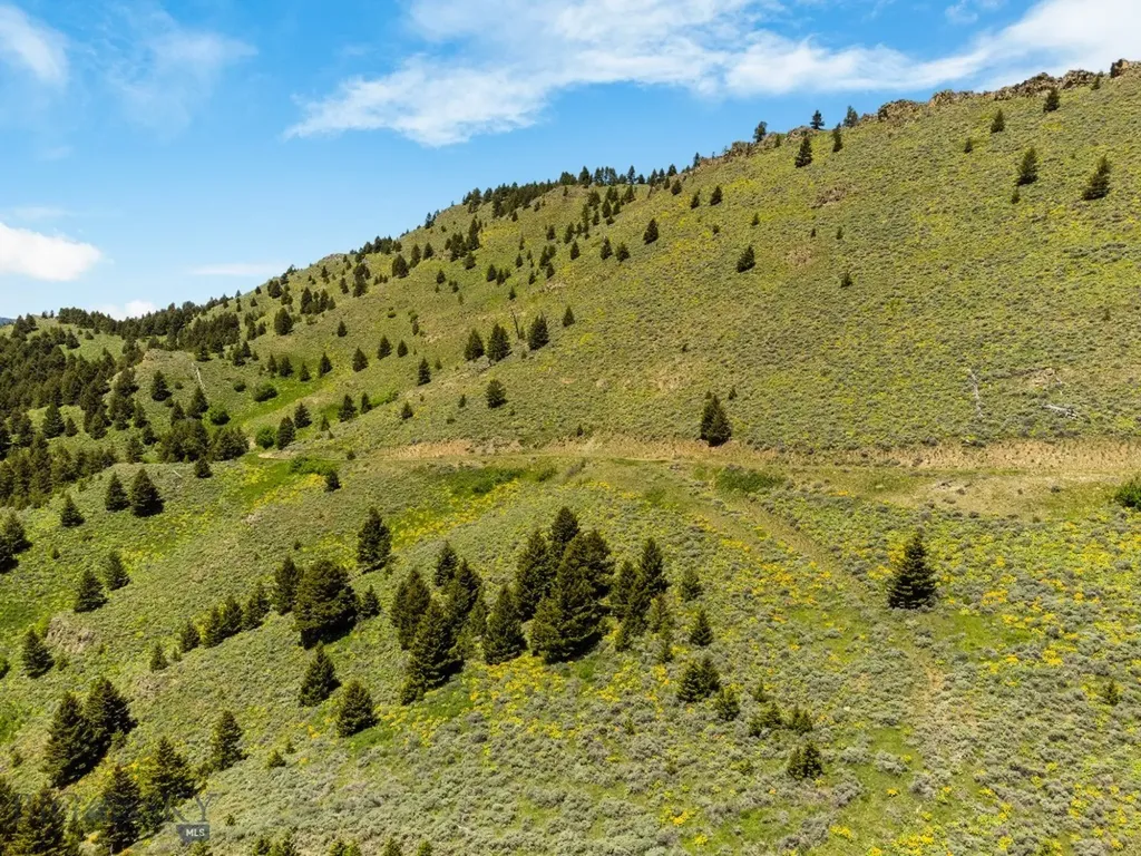 Lot 9 Sunflower Lane Livingston MT 59047