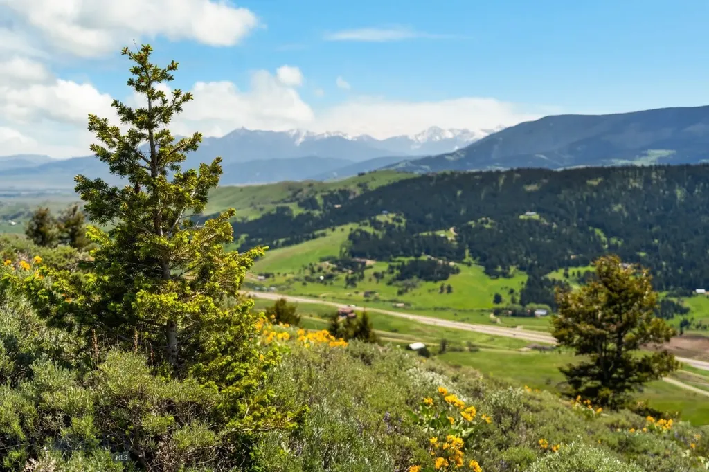 Lot 9 Sunflower Lane Livingston MT 59047